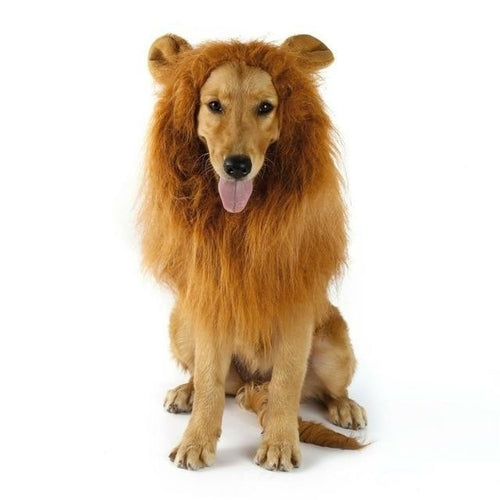 Lion Dog Wig - Fun Costume Accessory for Dogs