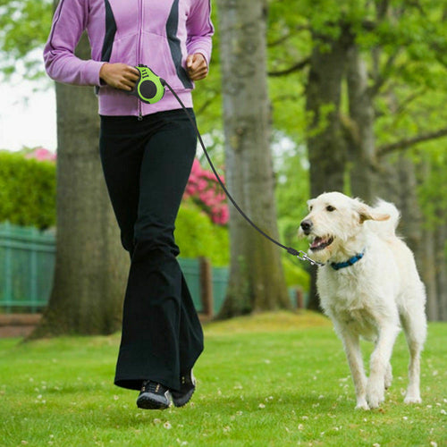 Retractable Dog Leash 16.5FT – Automatic Extending Lead for Dogs of All Sizes