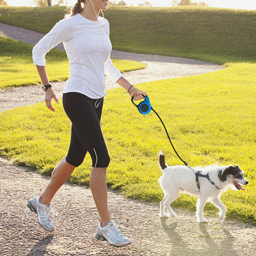 Retractable Dog Leash 16.5FT – Automatic Extending Lead for Dogs of All Sizes
