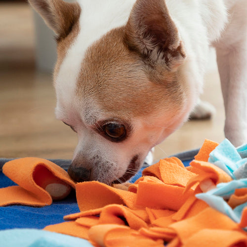 Snuffle Mat for Dogs & Cats