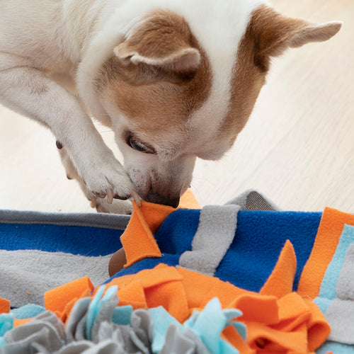 Snuffle Mat for Dogs & Cats