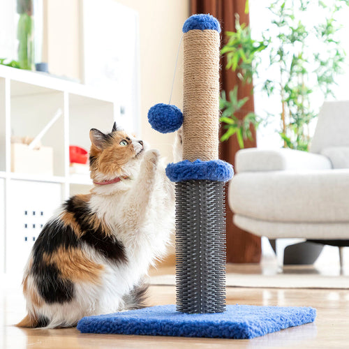 Interactive Cat Scratcher with Rolling Ball