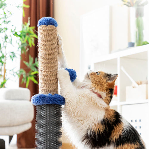 Interactive Cat Scratcher with Rolling Ball