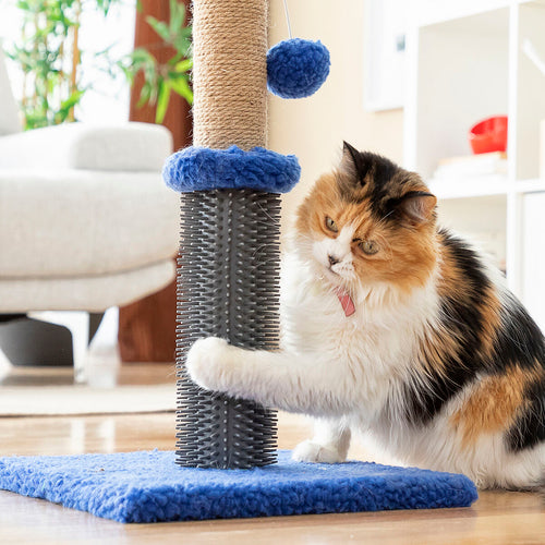 Interactive Cat Scratcher with Rolling Ball