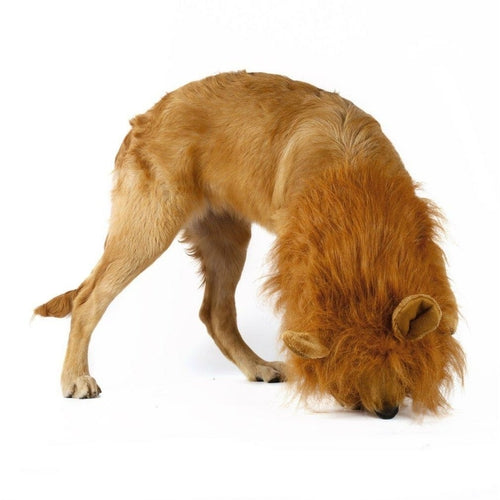 Lion Dog Wig - Fun Costume Accessory for Dogs