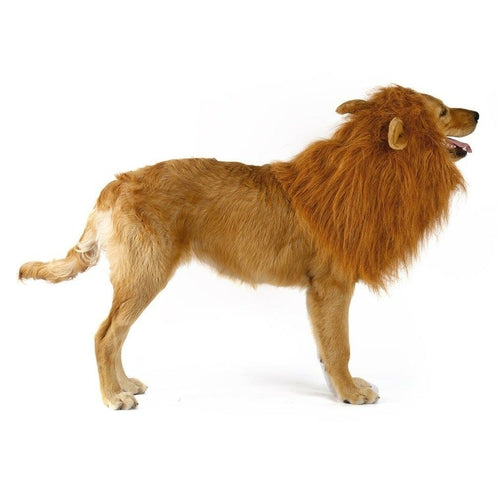 Lion Dog Wig - Fun Costume Accessory for Dogs