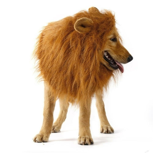 Lion Dog Wig - Fun Costume Accessory for Dogs